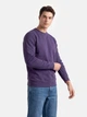 Свитшот Russell Authentic Sweat XS R81 Фиолетовый (0R262MR81XS) - изображение 1