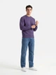 Свитшот Russell Authentic Sweat 2XL R81 Фиолетовый (0R262MR812XL) - изображение 2