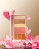 Палетка для контурінгу обличчя ANGELIC Correction Palette Bogenia BG906 №002, 33,9 г - зображення 5