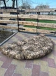 Крісло-ФУТОН 90*180, тканина Оксфорд, графіт - изображение 6