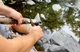 Мультитул Bear Grylls Utility Tool (Medium) 11-в-1 з чохлом - зображення 12