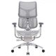 Офісне крісло Sihoo Doro S300 Mesh, Сірий - 739387 - зображення 1
