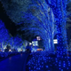 Уличная гирлянда 800 LED диодов 50 метров (синий цвет,зеленый провод) 800lblue - изображение 1