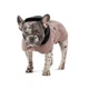 Попона Pet Fashion Max для собак S2 такса - зображення 2
