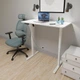 Стіл з електрорегулюванням висоти Mealux PowerDesk Lite XL White (арт. EVO-202 Lite W/W) - изображение 2