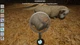 Ключ активації My Life: Farm Vet для Xbox One/Series S/X - зображення 4