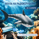 Акула на радиоуправлении 4D-S6 встроенная камера, управление через приложение и пульт 2.4GHz, подсветка, пускает фонтанчик, плавает в воде, аккумулятор 3.7V, для детей от 14 лет - изображение 3