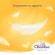 Подгузники Chicolino Super Soft Размер 5 (12-17 кг) 34 шт (4823098414452) (347139) - изображение 3