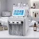 Аппарат для гидропилинга Beauty Service AquaFacial 7-в-1 254-1 - изображение 1