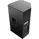 Активная акустическая система Electro-Voice EKX-12P (F.01U.303.369) - изображение 2