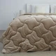 Ковдра ТЕП "VELOUR" Золотий беж (350 г/м²), 200x210 євро - изображение 2