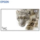 Проекционный экран Epson ELPSC36 рамный натяжной 120" 268x152см 16:9 настенный - изображение 8