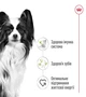 Сухий корм Royal Canin X-Small Adult для дорослих собак мініатюрних порід, 1.5 кг - зображення 2