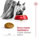 Сухий корм Royal Canin X-Small Adult для дорослих собак мініатюрних порід, 1.5 кг - зображення 4