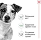 Сухий корм Royal Canin Mini Adult для дорослих собак дрібних порід, 800 г - зображення 3