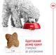 Сухий корм Royal Canin Mini Adult для дорослих собак дрібних порід, 800 г - зображення 5