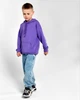 Худи CARICA KIDS HD-12017-33 55713 G&M xp-2002 140 см Размер цвет Лавандовый - изображение 4