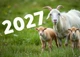Календарь настенный квартальный на 2027 год на три пружины, Apriori, год Козы, символ года , год Овцы 29,7х61см , 17 вид - изображение 2