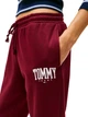Спортивные штаны на флисе женские Tommy Hilfiger 756835569 XS Бордовые (1160449554) - изображение 4