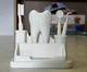 Підставка для візиток стоматолога Tooth Organizer тримач візиток для дантиста, органайзер у формі зуба, декор кабінету стомат - зображення 2
