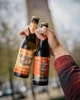 Упаковка пива Bourgogne des Flandres Blonde світле фільтроване 5.5% 0.33 л x 12 шт (5411516003624) - зображення 6