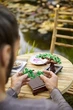 Конструктор 3D Botanicals Дерево Бонсай 878 деталей - изображение 4