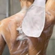 Перчатка для пилинга тела из 100% турецкого шелка Silk Glow Exfoliating Белая (AN0103708) - изображение 4