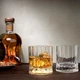 Набор стаканов для виски Wayne SOF, 4 шт., 250 мл Nude Glass (1100883) - изображение 9