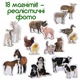 Набор магнитов MAGDUM «Мама и малыш» 18 шт. (реалистичные фото) Животные для раннего развития ML4031-08 - изображение 2