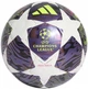 Мяч для футзала (мини-футбола) Adidas UCL 2026 Budapest Pro Sala JX9102 (размер 4) - изображение 2