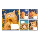 Зошит шкільний 1Вересня Sunny cat А5 18 аркушів клітинка (768771) - зображення 1