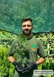 Саджанці Туї західної Колумна (Thuja occidentalis Columna) Р9 - зображення 5