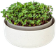 Вазон для вирощування мікрозелені Urbalive MICROGREENS 1606711640 - зображення 1