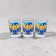 Подарочный набор стеклянных стопок "Герб Украины с Флагом" - Chaban_Souvenir - (3 шт × 60 мл) с уникальным и оригинальным дизайном SS_008 - изображение 4
