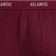 Набір трусів-боксерів чоловічих бавовняних Atlantic 2RMH-011 M 2 шт Графітовий/Винний (5903351394437) - зображення 4