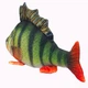 Мягкая игрушка «Окунь» плюшевая, 55×32×7 см - изображение 5