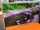 Телевізор Philips 47PFL7606T/12 47’’ (119 см) Full HD - Б/У - изображение 2