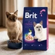 Сухий корм Brit Premium з куркою для дорослих котів усіх порід, 800 г - зображення 2