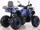 Квадроцикл Spark SP200-10 (заводське паковання) (Синій) - зображення 7