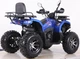 Квадроцикл Spark SP200-10Е (заводське паковання) (Синій) - зображення 6