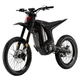 Електромотоцикл Arctic Leopard CLOUDED XE PRO gold S Black - зображення 1