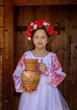 Біла яскрава сукня для дівчинки з вишивкою 116 - изображение 2