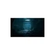 Гра Sony Vampire The Masquerade - Bloodlines 2, Day One Edition, BD (1158893) SONY 1158893 1059128 - зображення 4