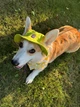 Панама для собак Hat-Dog Лаймова S - зображення 8