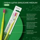 Зубная щетка Medosan SmileCare Medium Green Medosan Зеленая (4823109412200) - изображение 3