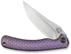 Нож складной туристический Weknife Dracarys 9.1 см Böhler M390 / 6AL4V Фиолетово-золотой (WE25061B-2) - изображение 2