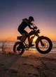 Велосипед електричний потужний електро фетбайк велосипед для дорослих fatbike з дисплеєм фарою на акумуляторі з крилами потужною рамою гірський чоловічий для міста села бездоріжжя Q20mini 48V 15AH 750W Ridstar Чорний 73950 - зображення 8