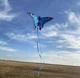 Повітряний змій Метелик з пускової ліскою 50 м і ручкою, дитячий нейлоновий повітряний змій, повітряний змій 3d метелик BTF50 - зображення 6