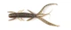 Віброхвіст Hogy Shrimp 2,2in S21 їстівний 10 шт (набір 10 шт) - зображення 2