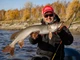 Віброхвіст KUBIRA SWIM SHAD 7,0in PG22 м'яка приманка 2 шт (набір 2 шт) - зображення 4